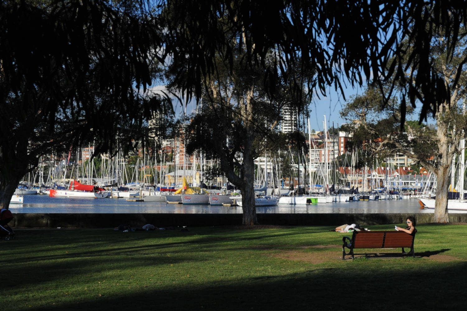Rushcutters Bay Review