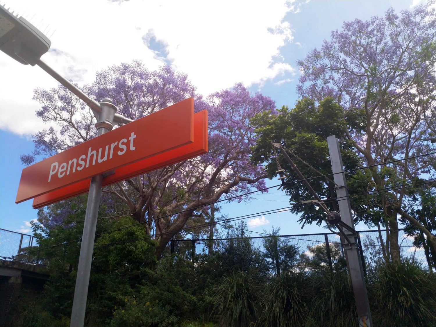 Penshurst Suburb Profile