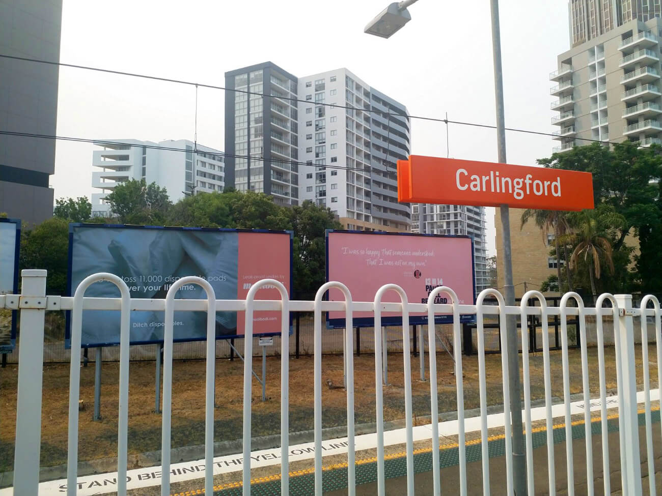 Carlingford Suburb Profile